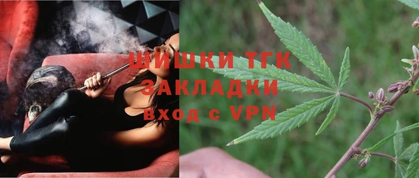 амф Алзамай