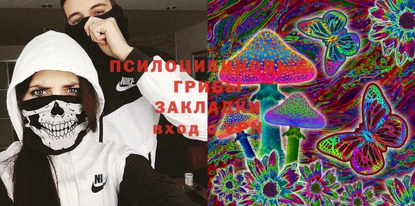 2c-b Алексин