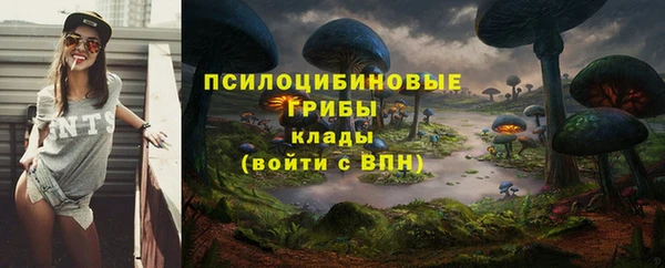 амф Алзамай