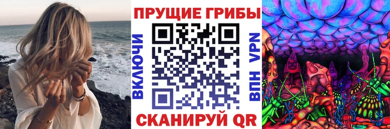 Псилоцибиновые грибы Cubensis  Нытва 